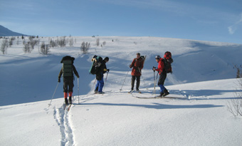 Winterreise auf Holzski durch die norwegische Hedmark
